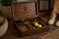 Premium Pet Essentials Kit